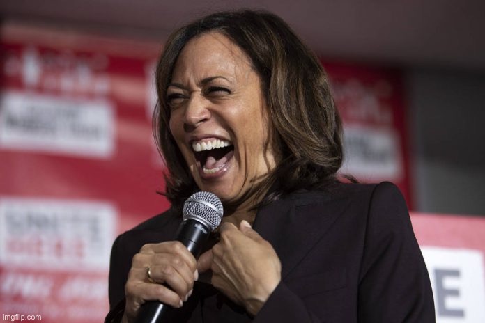 Kamala laughing | image tagged in kamala laughing | made w/ Imgflip meme maker