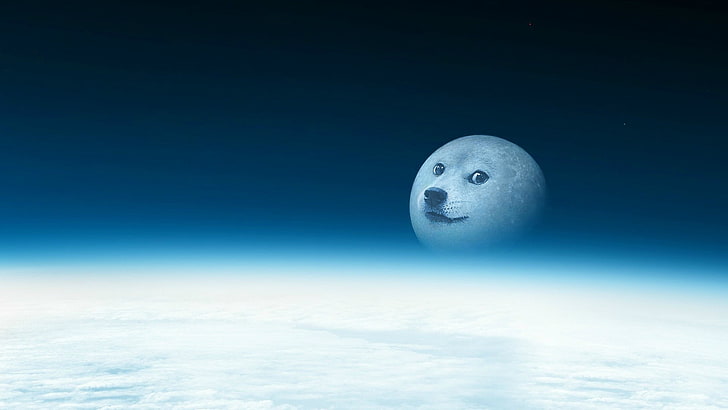 doge to the moon Blank Meme Template