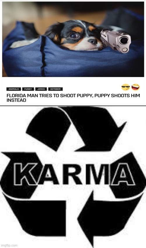 karma  | image tagged in karma | made w/ Imgflip meme maker