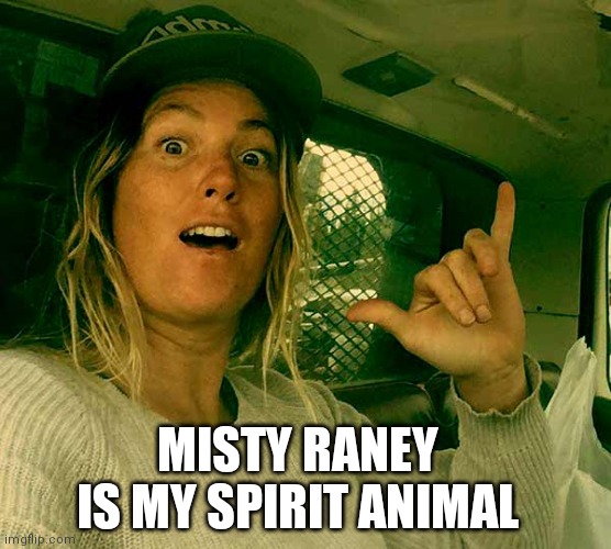 MISTY RANEY IS MY SPIRIT ANIMAL | image tagged in we got us a badass over here | made w/ Imgflip meme maker