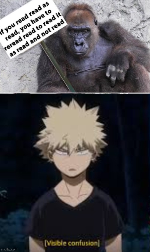 I READ IT CORRECTLY ON THE FIRST READ | image tagged in visible confusion bakugo | made w/ Imgflip meme maker