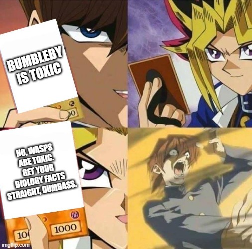 Yugioh card draw | BUMBLEBY IS TOXIC; NO, WASPS ARE TOXIC. GET YOUR BIOLOGY FACTS STRAIGHT, DUMBASS. | image tagged in yugioh card draw,rwby | made w/ Imgflip meme maker