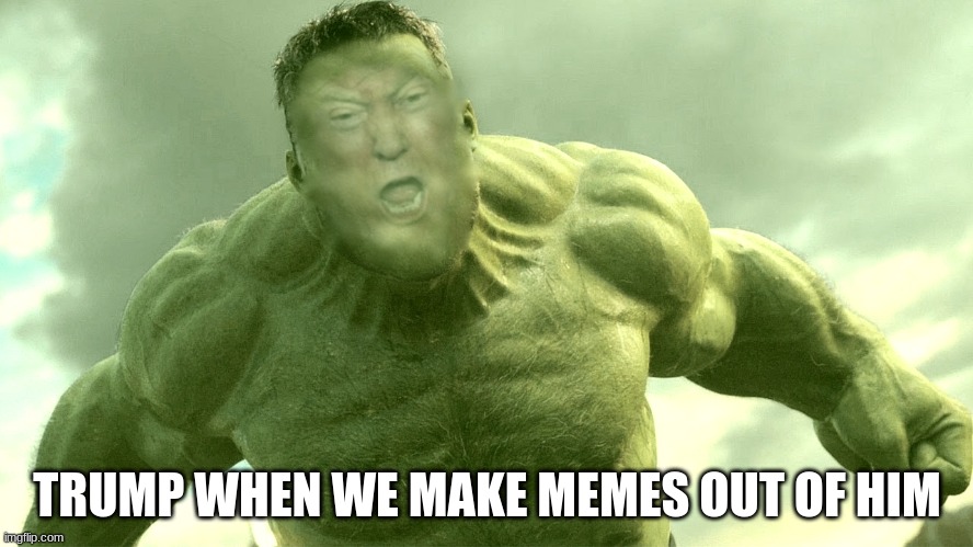 Trump | TRUMP WHEN WE MAKE MEMES OUT OF HIM | image tagged in donald trump | made w/ Imgflip meme maker