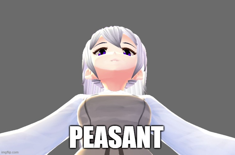 Peasant | PEASANT | image tagged in vroid,anime,meme,domination | made w/ Imgflip meme maker