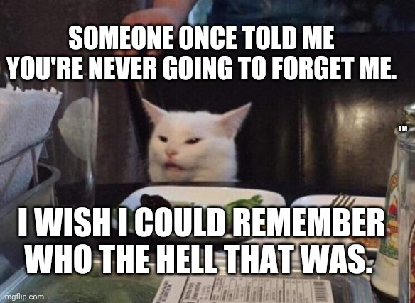 Salad cat | SOMEONE ONCE TOLD ME YOU'RE NEVER GOING TO FORGET ME. J M; I WISH I COULD REMEMBER WHO THE HELL THAT WAS. | image tagged in salad cat | made w/ Imgflip meme maker