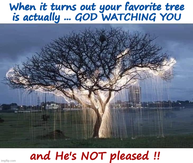 Ah, yes! Look to the heavens! | When it turns out your favorite tree
is actually ... GOD WATCHING YOU; and He's NOT pleased !! | image tagged in god,oh crap,dark humor,rick75230 | made w/ Imgflip meme maker