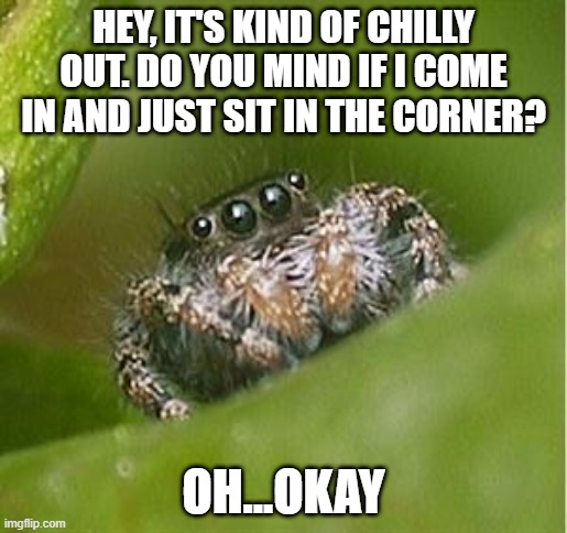 Misunderstood Spider | HEY, IT'S KIND OF CHILLY OUT. DO YOU MIND IF I COME IN AND JUST SIT IN THE CORNER? OH...OKAY | image tagged in misunderstood spider | made w/ Imgflip meme maker