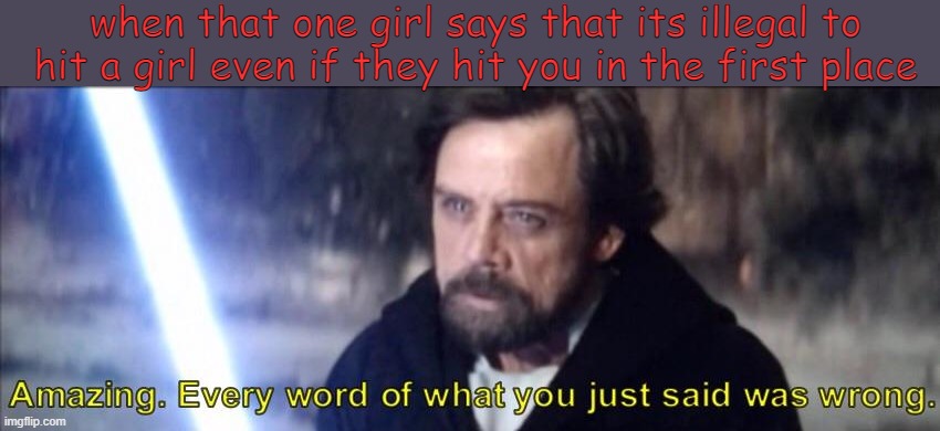 Every word of what you just said was wrong | when that one girl says that its illegal to hit a girl even if they hit you in the first place | image tagged in every word of what you just said was wrong | made w/ Imgflip meme maker