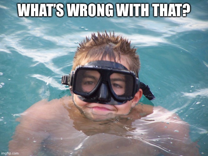 Sanguine Snorkeler | WHAT’S WRONG WITH THAT? | image tagged in sanguine snorkeler | made w/ Imgflip meme maker
