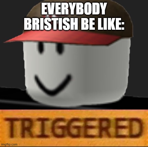 Roblox Triggered | EVERYBODY BRISTISH BE LIKE: | image tagged in roblox triggered | made w/ Imgflip meme maker