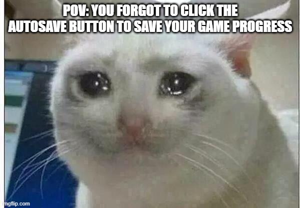 crying cat | POV: YOU FORGOT TO CLICK THE AUTOSAVE BUTTON TO SAVE YOUR GAME PROGRESS | image tagged in crying cat | made w/ Imgflip meme maker