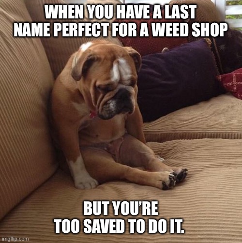 Greenfield | WHEN YOU HAVE A LAST NAME PERFECT FOR A WEED SHOP; BUT YOU’RE TOO SAVED TO DO IT. | image tagged in bulldogsad | made w/ Imgflip meme maker