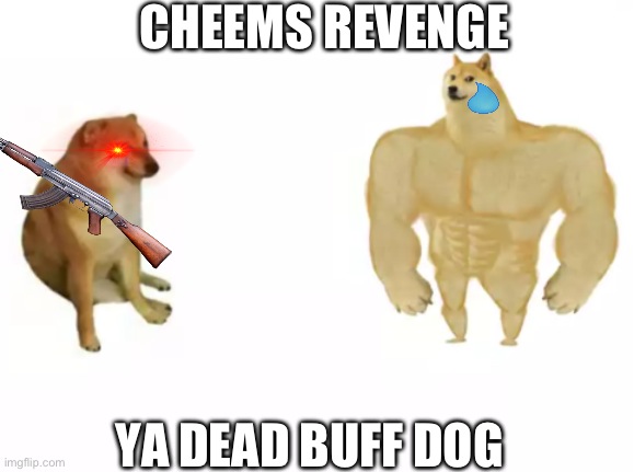Revenge!!!! | CHEEMS REVENGE; YA DEAD BUFF DOG | image tagged in buff doge vs cheems reversed | made w/ Imgflip meme maker