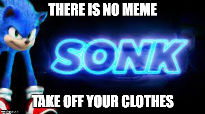 sonk | THERE IS NO MEME; TAKE OFF YOUR CLOTHES | image tagged in sonk | made w/ Imgflip meme maker