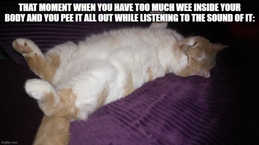 comfort not speed | THAT MOMENT WHEN YOU HAVE TOO MUCH WEE INSIDE YOUR BODY AND YOU PEE IT ALL OUT WHILE LISTENING TO THE SOUND OF IT: | image tagged in comfort not speed | made w/ Imgflip meme maker