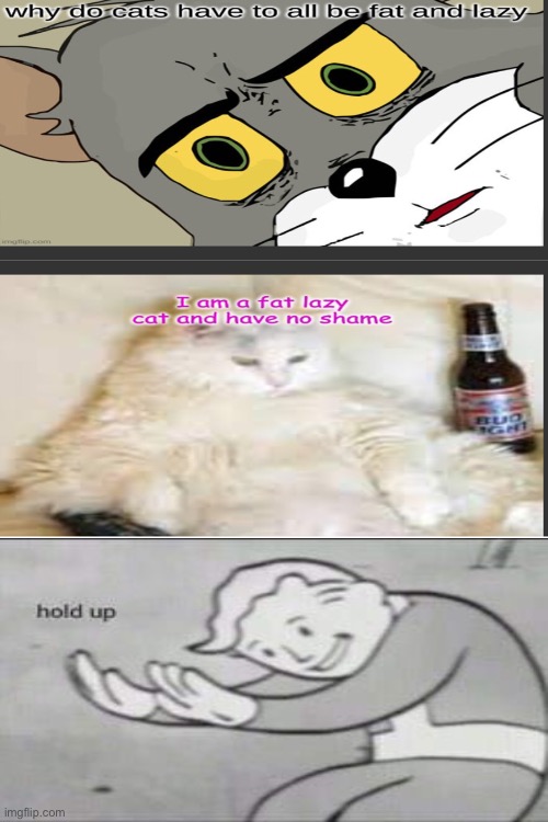Uhhhhhh, Ok | image tagged in blank white template,lol,cats | made w/ Imgflip meme maker