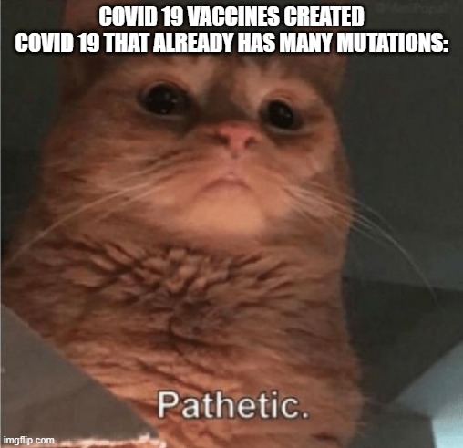 Pathetic Cat |  COVID 19 VACCINES CREATED
COVID 19 THAT ALREADY HAS MANY MUTATIONS: | image tagged in pathetic cat | made w/ Imgflip meme maker