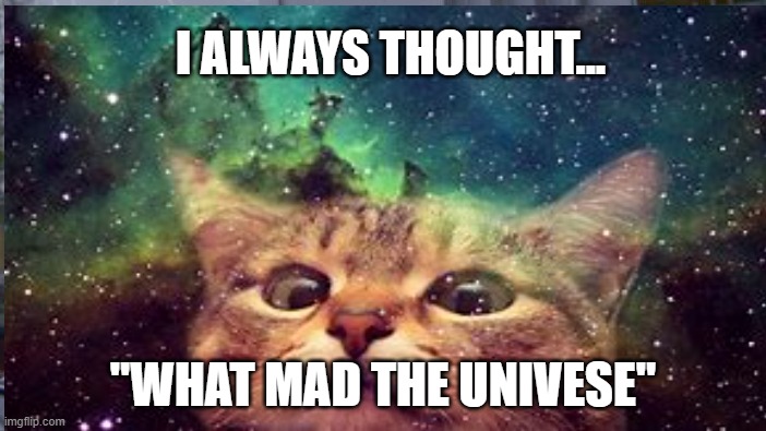 Space cat | I ALWAYS THOUGHT... "WHAT MAD THE UNIVESE" | image tagged in memes | made w/ Imgflip meme maker