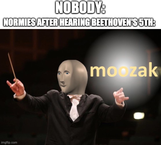 It's true | NOBODY:; NORMIES AFTER HEARING BEETHOVEN'S 5TH: | image tagged in moozak,music meme,classical music,normies,it's true | made w/ Imgflip meme maker