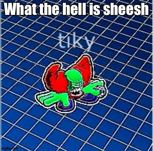 Tiky | What the hell is sheesh | image tagged in tiky | made w/ Imgflip meme maker