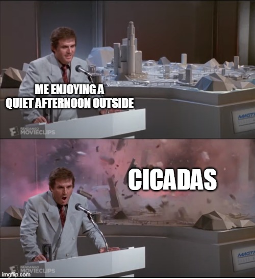 Uncle Martin's Model Exploding | ME ENJOYING A QUIET AFTERNOON OUTSIDE; CICADAS | image tagged in uncle martin's model exploding,memes,cicadas | made w/ Imgflip meme maker