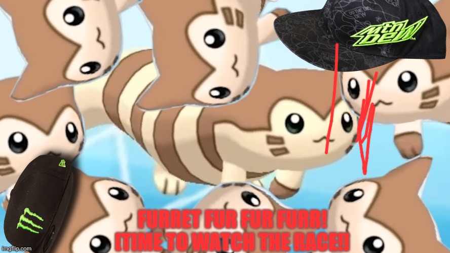 FURRET FUR FUR FURR!
[TIME TO WATCH THE RACE!] | made w/ Imgflip meme maker