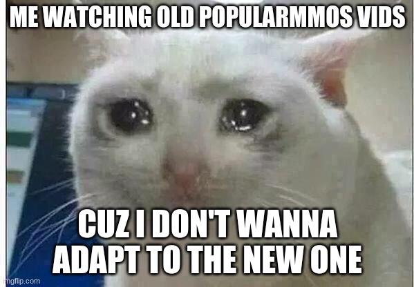 crying cat | ME WATCHING OLD POPULARMMOS VIDS; CUZ I DON'T WANNA ADAPT TO THE NEW ONE | image tagged in crying cat | made w/ Imgflip meme maker