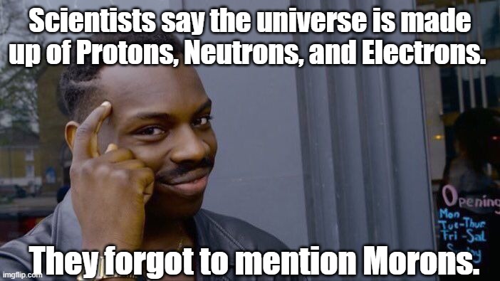 forgot to mention | Scientists say the universe is made up of Protons, Neutrons, and Electrons. They forgot to mention Morons. | image tagged in memes,roll safe think about it | made w/ Imgflip meme maker