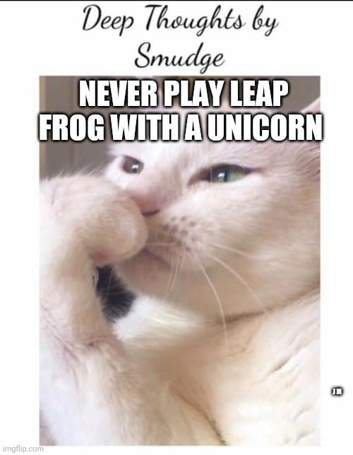 Smudge | NEVER PLAY LEAP FROG WITH A UNICORN; J M | image tagged in smudge | made w/ Imgflip meme maker