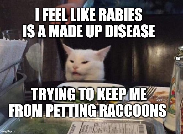 Salad cat | I FEEL LIKE RABIES IS A MADE UP DISEASE; J M; TRYING TO KEEP ME FROM PETTING RACCOONS | image tagged in salad cat | made w/ Imgflip meme maker