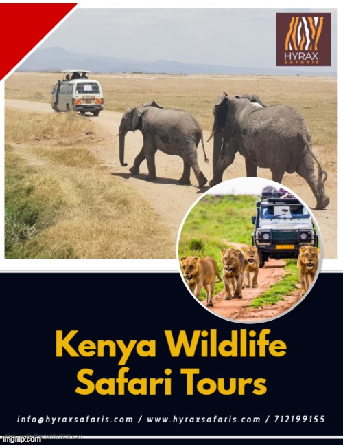 Kenya Wildlife Safari Tours | image tagged in kenya luxury safari packages,cheap masai mara safari packages,kenya wildlife safari tours,best kenya safari tours | made w/ Imgflip meme maker