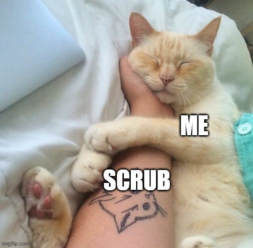 ME; SCRUB | made w/ Imgflip meme maker