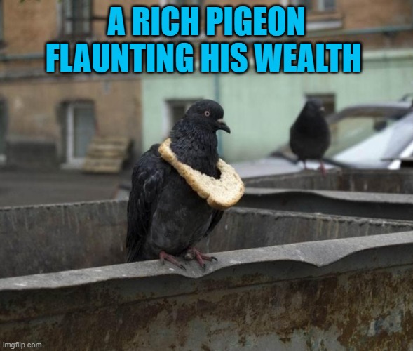 A RICH PIGEON FLAUNTING HIS WEALTH | made w/ Imgflip meme maker