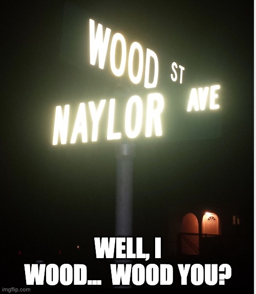 Wood | WELL, I WOOD...  WOOD YOU? | image tagged in bad puns | made w/ Imgflip meme maker
