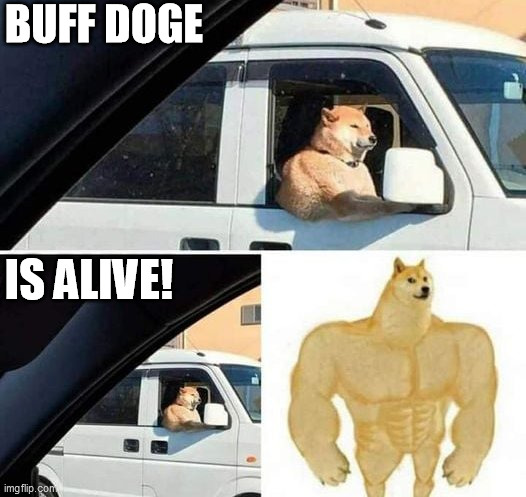 Buff Doge is real | BUFF DOGE; IS ALIVE! | image tagged in buff doge | made w/ Imgflip meme maker