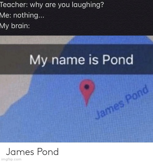 ?007 | image tagged in james bond,007,teacher what are you laughing at | made w/ Imgflip meme maker