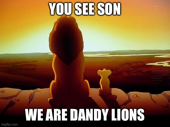 Lion King Meme | YOU SEE SON WE ARE DANDY LIONS | image tagged in memes,lion king | made w/ Imgflip meme maker