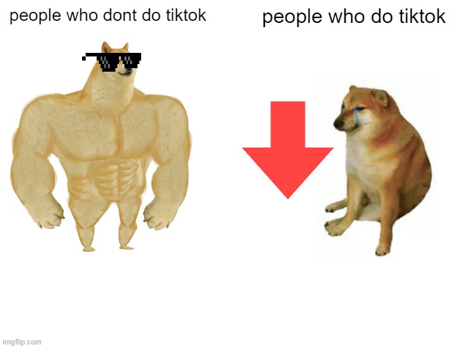 For Woodfeather :) | people who dont do tiktok; people who do tiktok | image tagged in memes,buff doge vs cheems | made w/ Imgflip meme maker