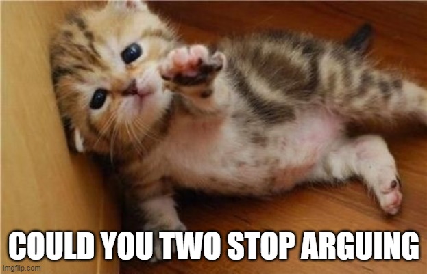 COULD YOU TWO STOP ARGUING | made w/ Imgflip meme maker