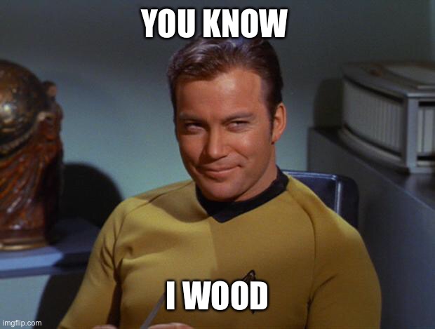 Kirk Smirk | YOU KNOW I WOOD | image tagged in kirk smirk | made w/ Imgflip meme maker