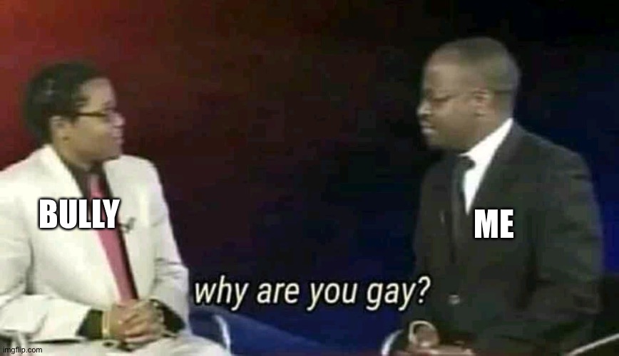 Why are you gay? | ME BULLY | image tagged in why are you gay | made w/ Imgflip meme maker