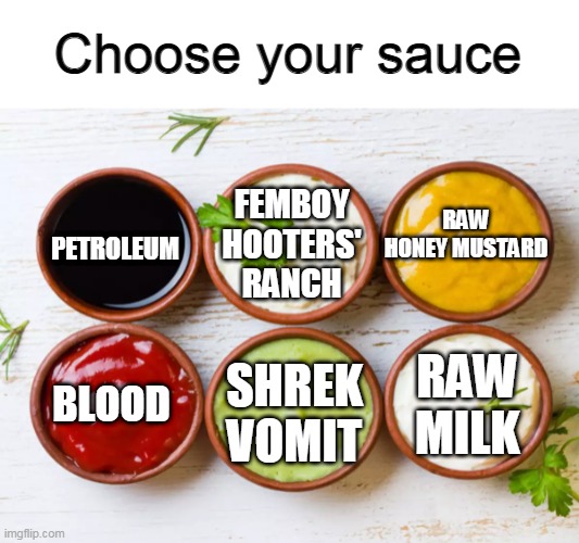 Choose wisely | Choose your sauce; RAW HONEY MUSTARD; PETROLEUM; FEMBOY HOOTERS' RANCH; BLOOD; RAW MILK; SHREK VOMIT | image tagged in memes,sauce | made w/ Imgflip meme maker