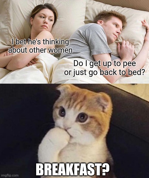 Typical morning | I bet he's thinking about other women; Do I get up to pee or just go back to bed? BREAKFAST? | image tagged in i bet he's thinking about other women,thinking cat,morning,pee,breakfast | made w/ Imgflip meme maker