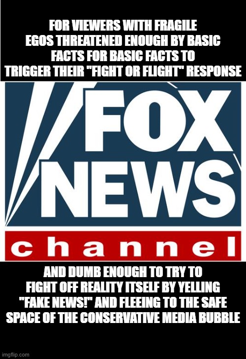 Fox Is The Most Mainstream Media, And It's A Confirmation Bias Rabbit Hole | FOR VIEWERS WITH FRAGILE EGOS THREATENED ENOUGH BY BASIC FACTS FOR BASIC FACTS TO TRIGGER THEIR "FIGHT OR FLIGHT" RESPONSE; AND DUMB ENOUGH TO TRY TO FIGHT OFF REALITY ITSELF BY YELLING "FAKE NEWS!" AND FLEEING TO THE SAFE SPACE OF THE CONSERVATIVE MEDIA BUBBLE | image tagged in fox news,triggered,safe space,alternative facts,patriotism,libtards | made w/ Imgflip meme maker