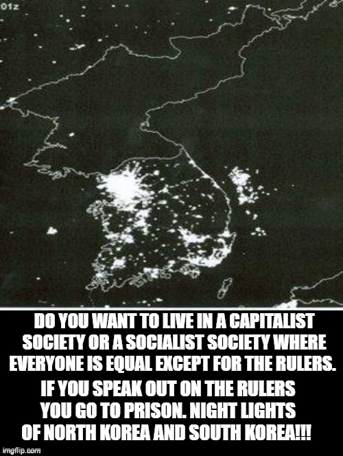 Liberalism is a Mental Disorder! Liberals can not understand this concept! | DO YOU WANT TO LIVE IN A CAPITALIST SOCIETY OR A SOCIALIST SOCIETY WHERE EVERYONE IS EQUAL EXCEPT FOR THE RULERS. IF YOU SPEAK OUT ON THE RULERS YOU GO TO PRISON. NIGHT LIGHTS OF NORTH KOREA AND SOUTH KOREA!!! | image tagged in morons,idiots,stupid liberals,stupidity | made w/ Imgflip meme maker