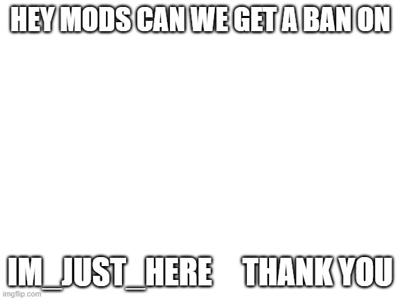 like seriuosly tho | HEY MODS CAN WE GET A BAN ON; IM_JUST_HERE     THANK YOU | image tagged in blank white template | made w/ Imgflip meme maker