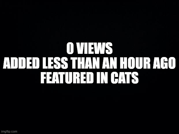 Is This Unusual? | 0 VIEWS
ADDED LESS THAN AN HOUR AGO
FEATURED IN CATS | image tagged in memes,fun memes,very funny,zero,views,featured | made w/ Imgflip meme maker