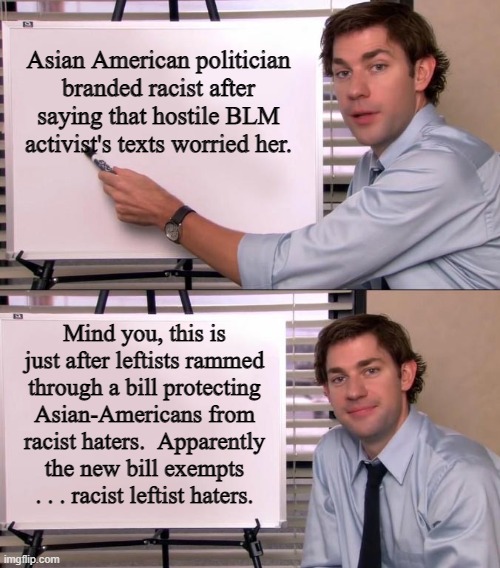 You gotta watch out for the fine print when leftists ram through a new bill: | Asian American politician branded racist after saying that hostile BLM activist's texts worried her. Mind you, this is just after leftists rammed through a bill protecting Asian-Americans from racist haters.  Apparently the new bill exempts . . . racist leftist haters. | image tagged in jim halpert explains | made w/ Imgflip meme maker
