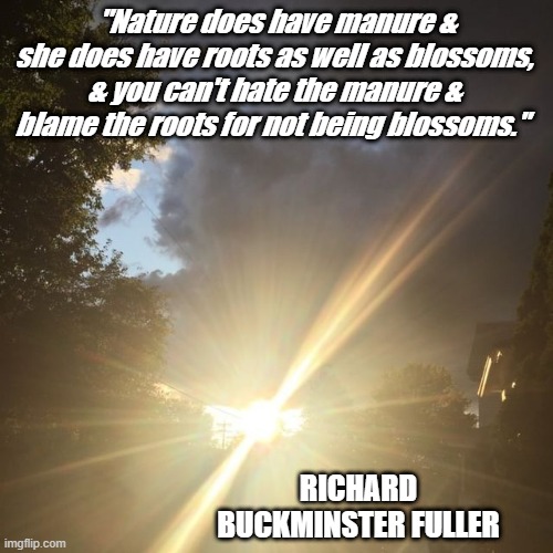 "Nature does have manure & she does have roots as well as blossoms, & you can't hate the manure & blame the roots for not being blossoms."; RICHARD BUCKMINSTER FULLER | made w/ Imgflip meme maker