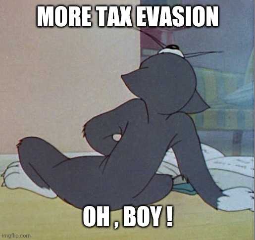 Tom jerking off | MORE TAX EVASION OH , BOY ! | image tagged in tom jerking off | made w/ Imgflip meme maker